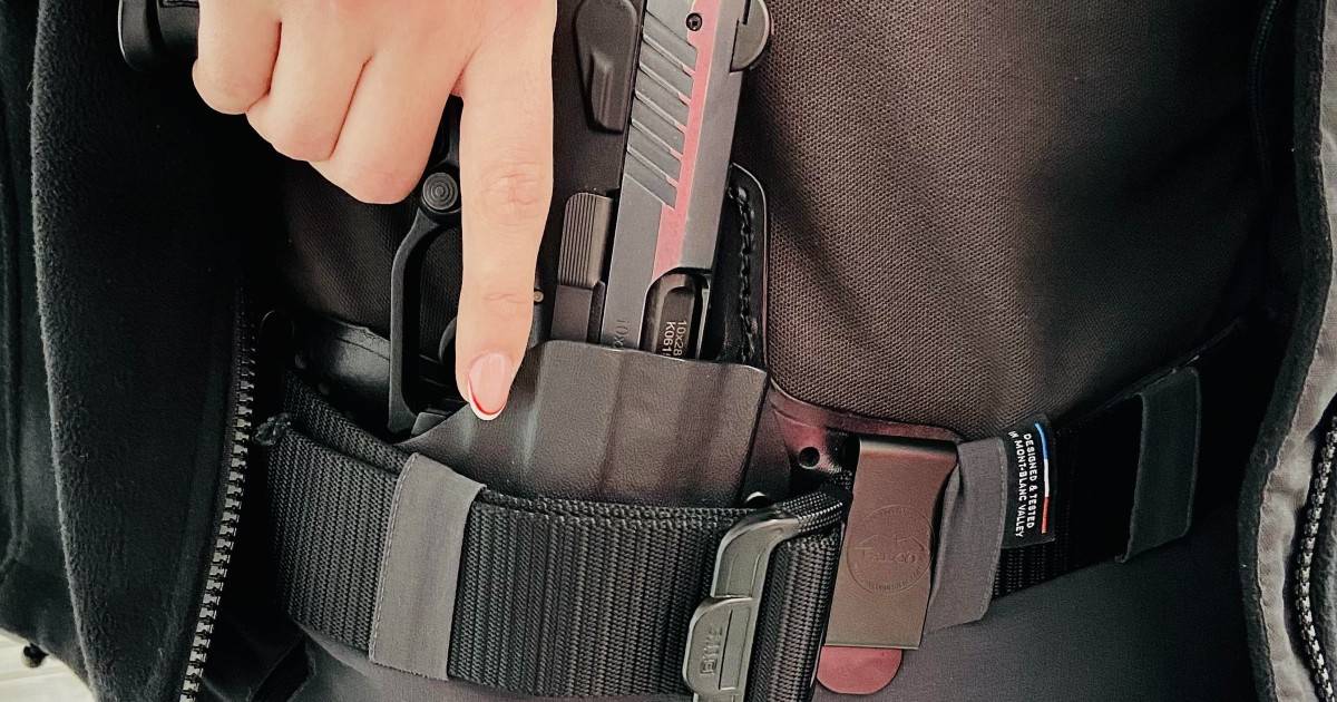 Hybrid holster