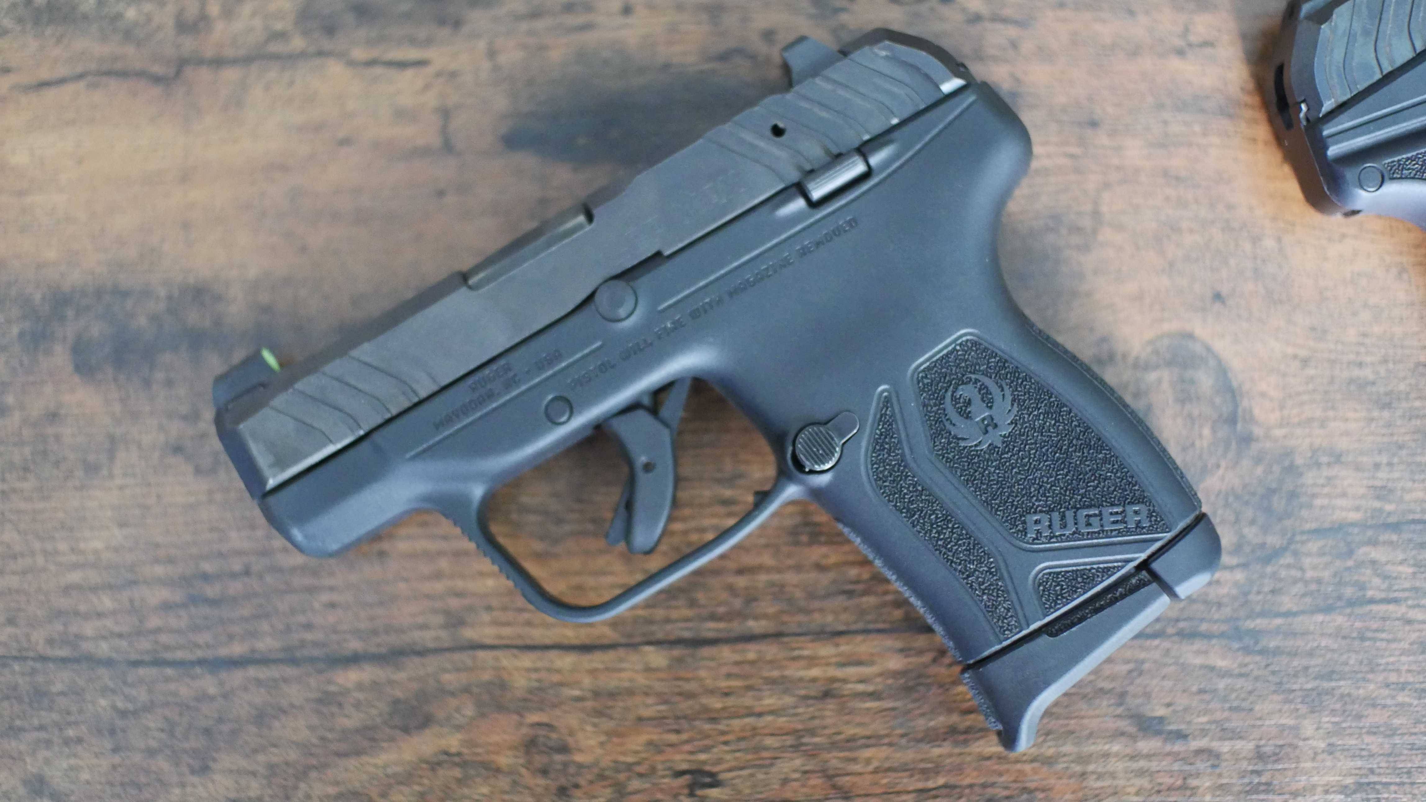 Ruger LCP Max sights