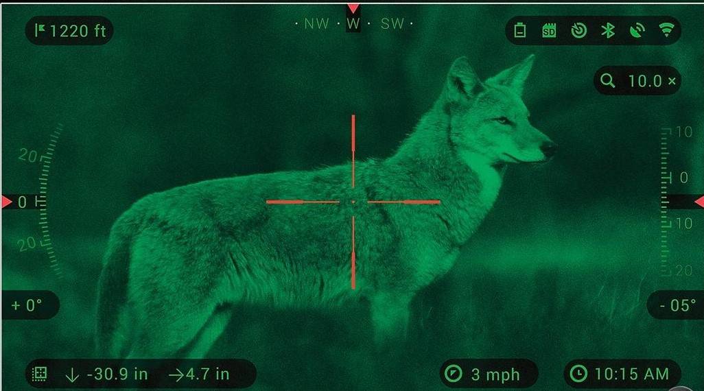 Coyote Seen Through ATN Digital Night Vision scope.